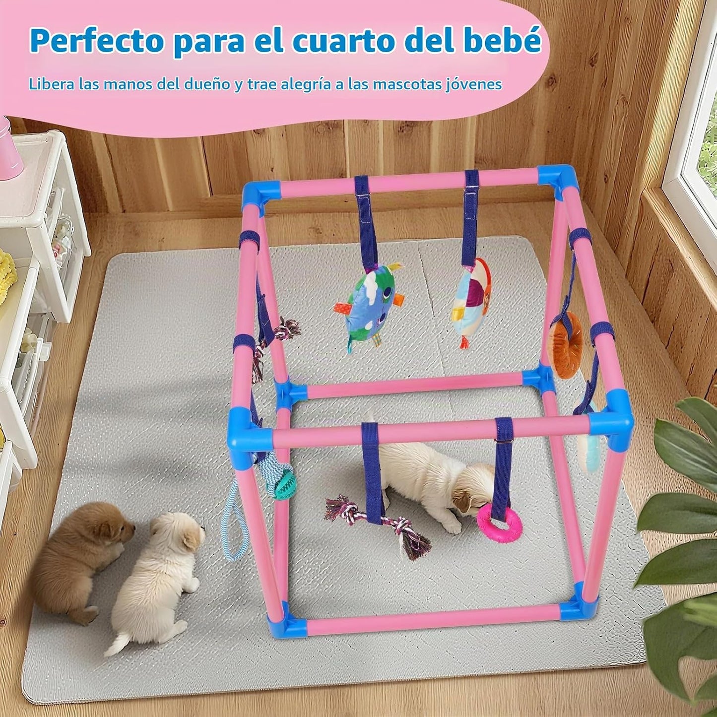Liitrton Gimnasio de juego para cachorros \u2013 Gimnasio de juego...