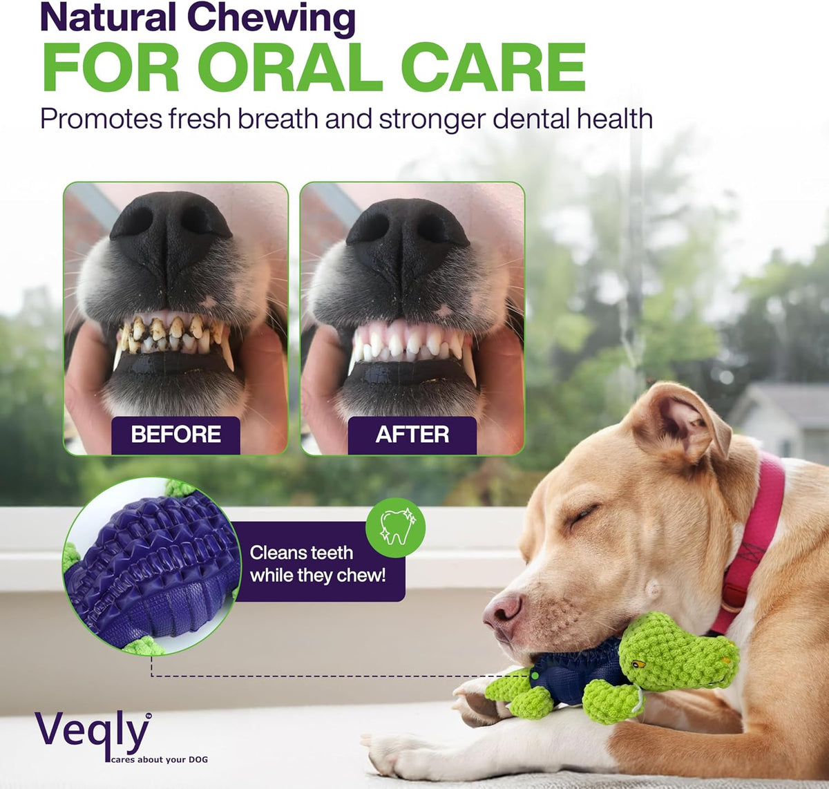 Juguetes masticables para perros para razas pequeñas y medianas, ju...