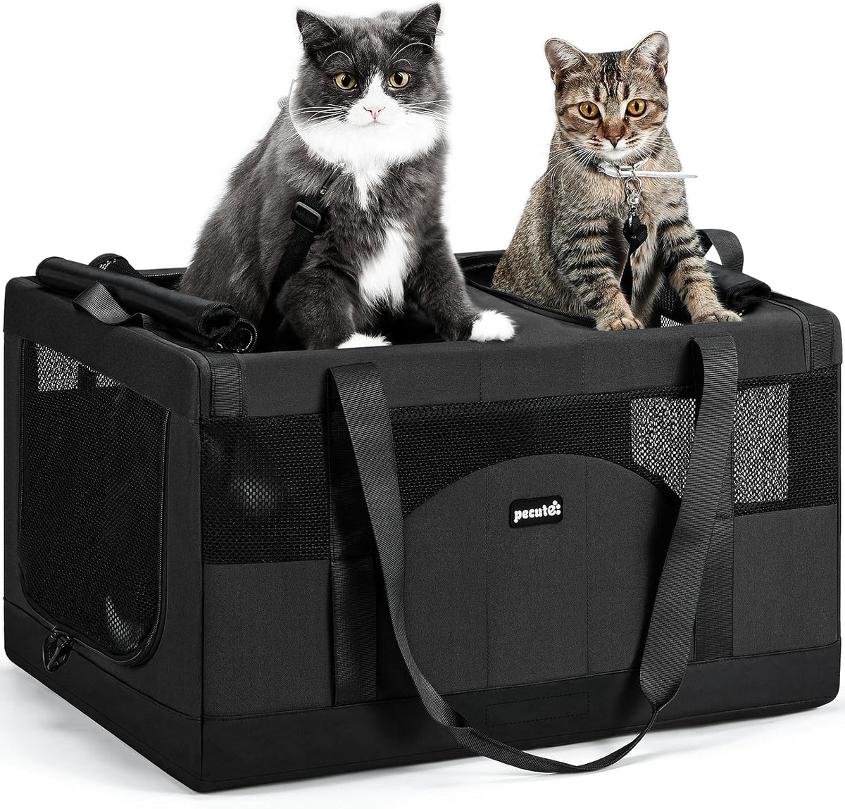 Pecute Transportador de mascotas con doble compartimento para famil...