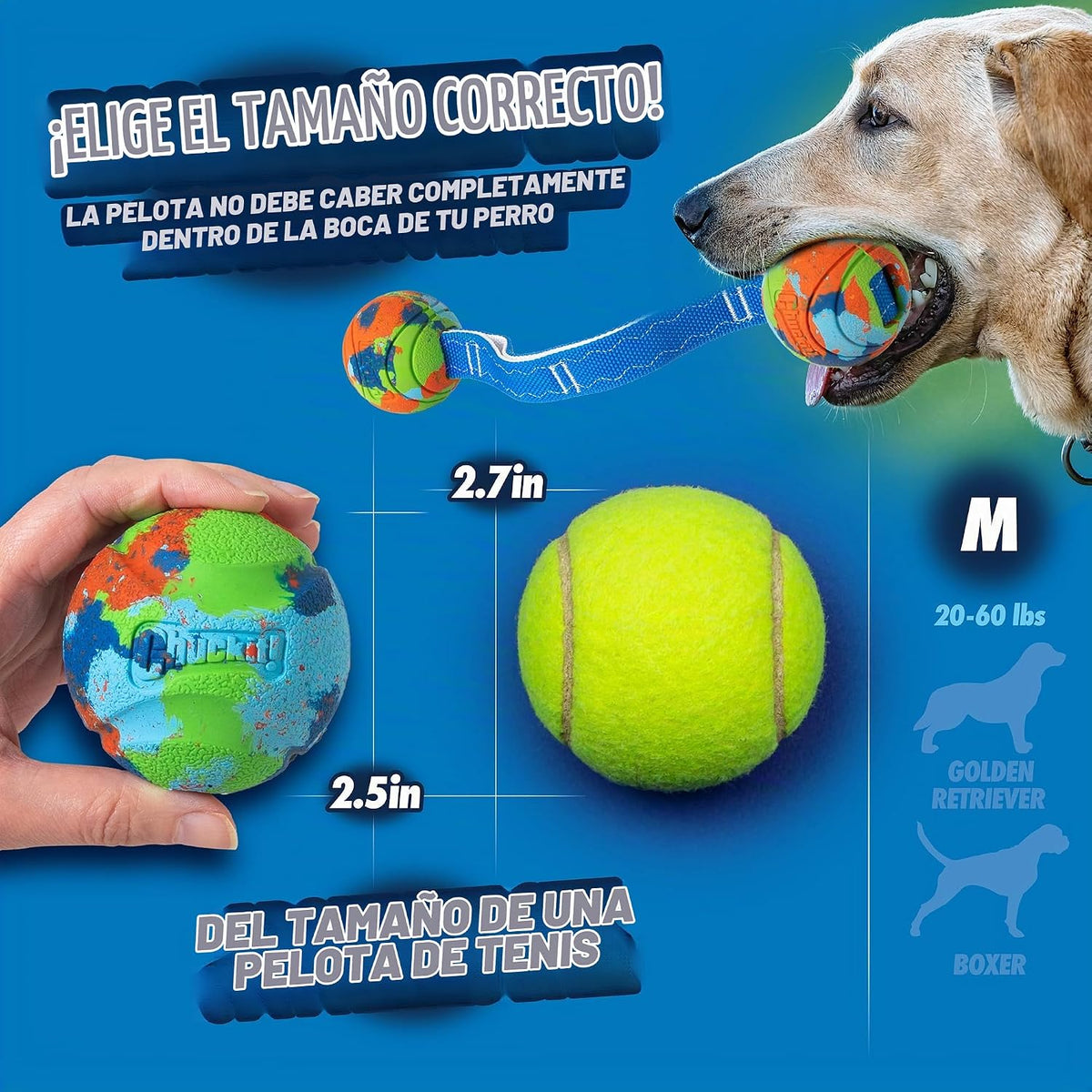 Chuckit! Bola de perro EcoFetch de edición limitada, mediana (6.35...