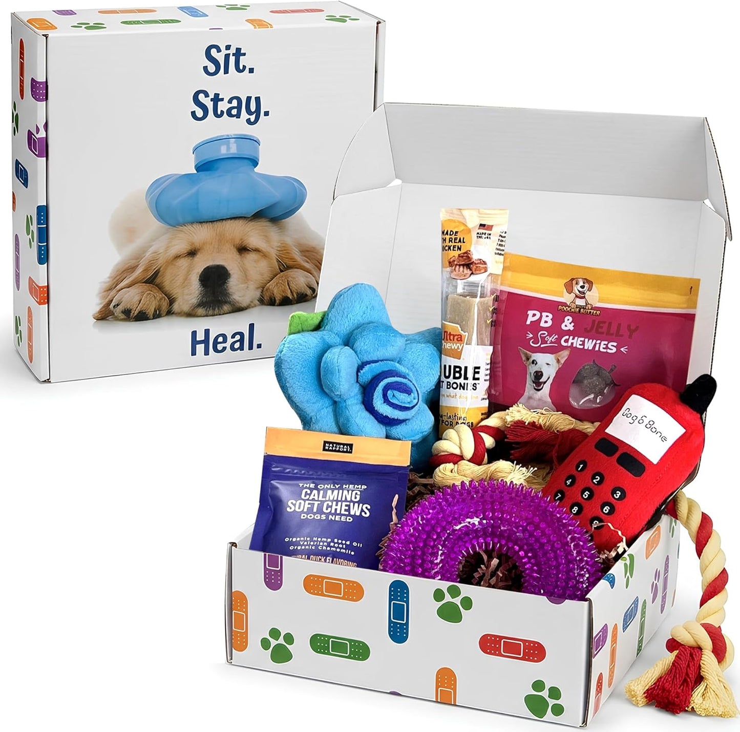 Get Well Soon Regalos para perros, paquete de cuidado de perros, ce...