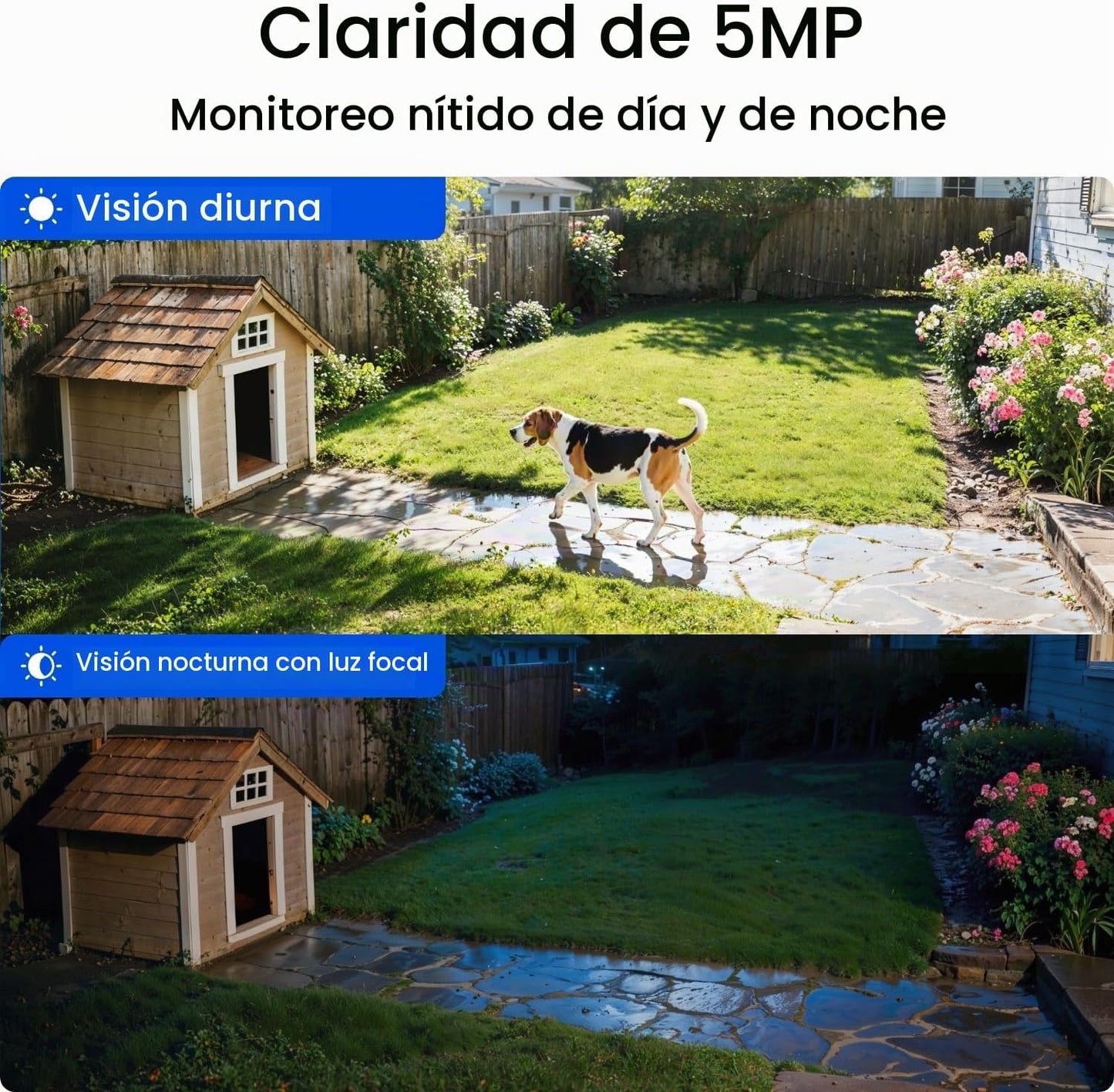 REOLINK 360° PT - Cámaras de seguridad solares inalámbricas para ex...