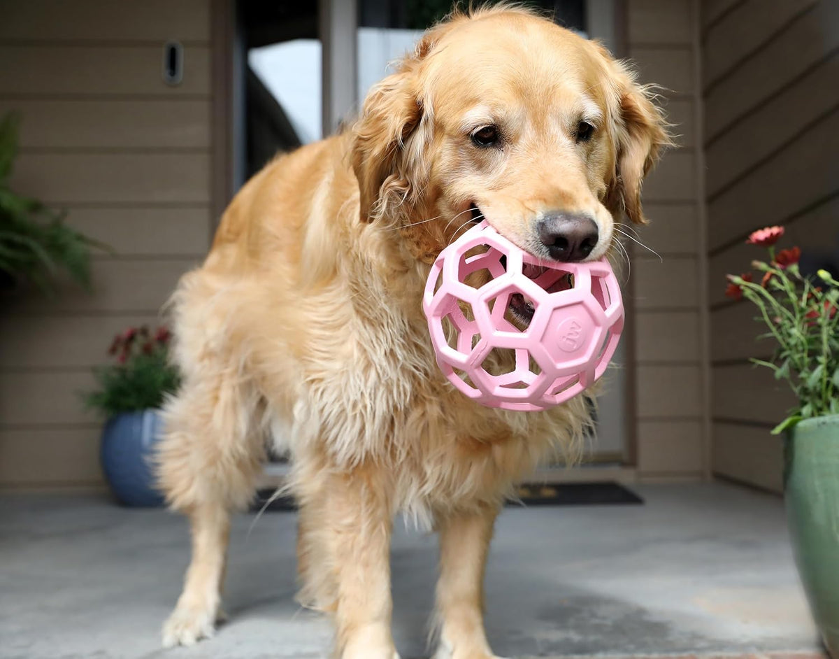 JW Pet HOL-ee Roller™, bola de rompecabezas de juguete para perros,...