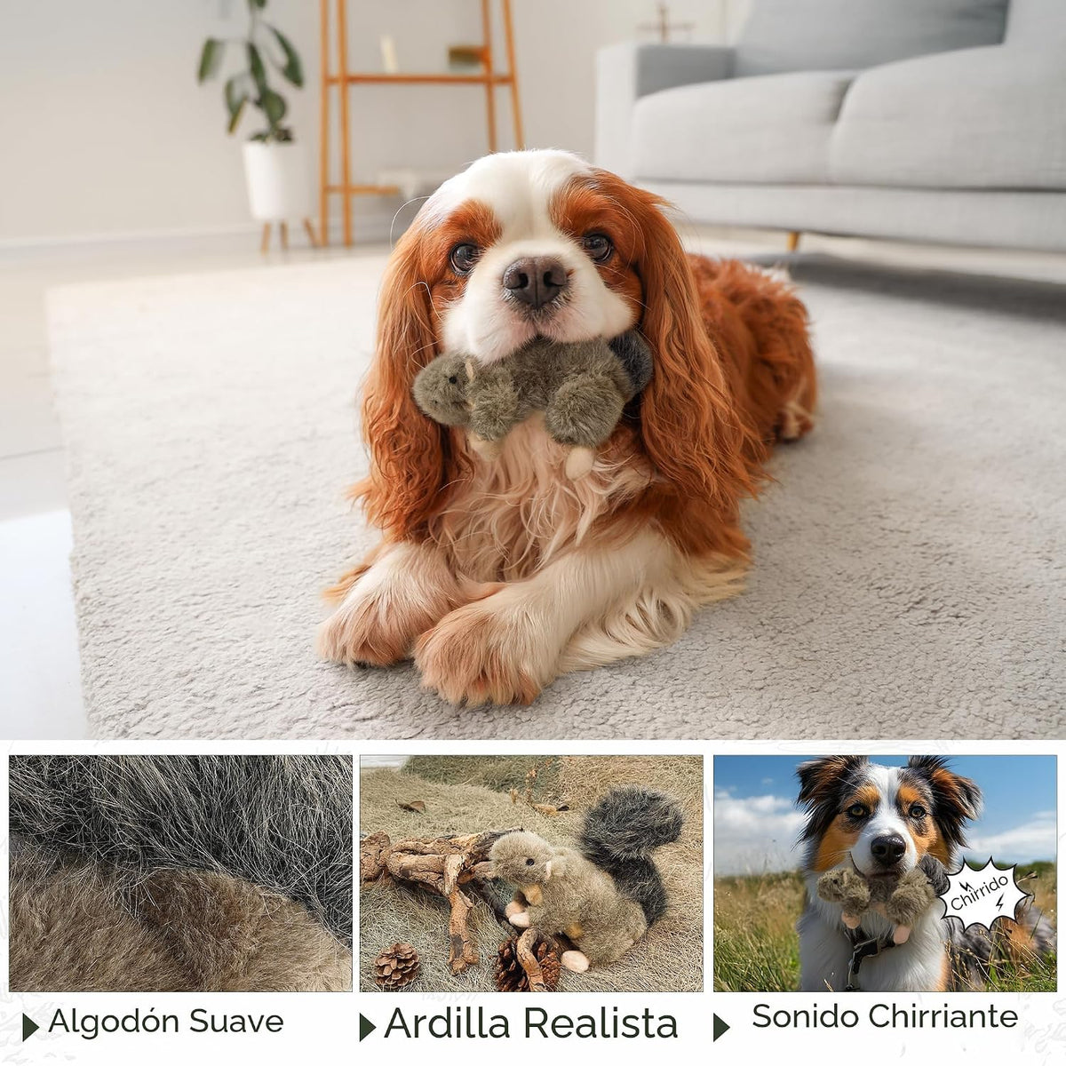 ALL FOR PAWS Juguetes clásicos para mascotas de ardilla, pequeños
