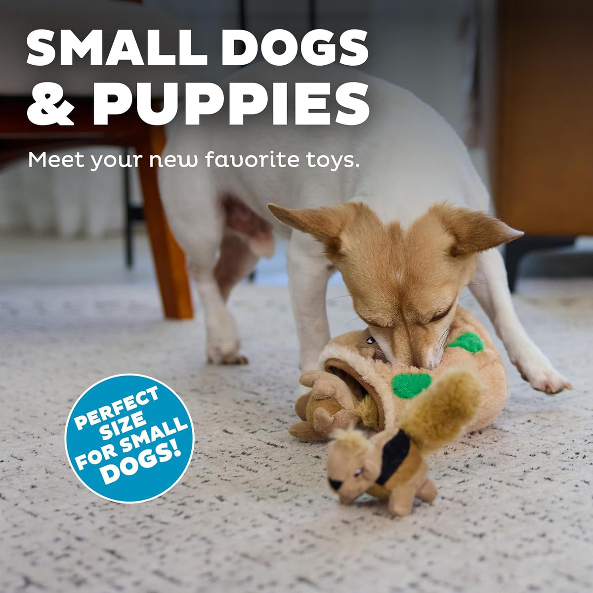 Outward Hound Squeakin' Squirrels - Juguetes de peluche de repu...