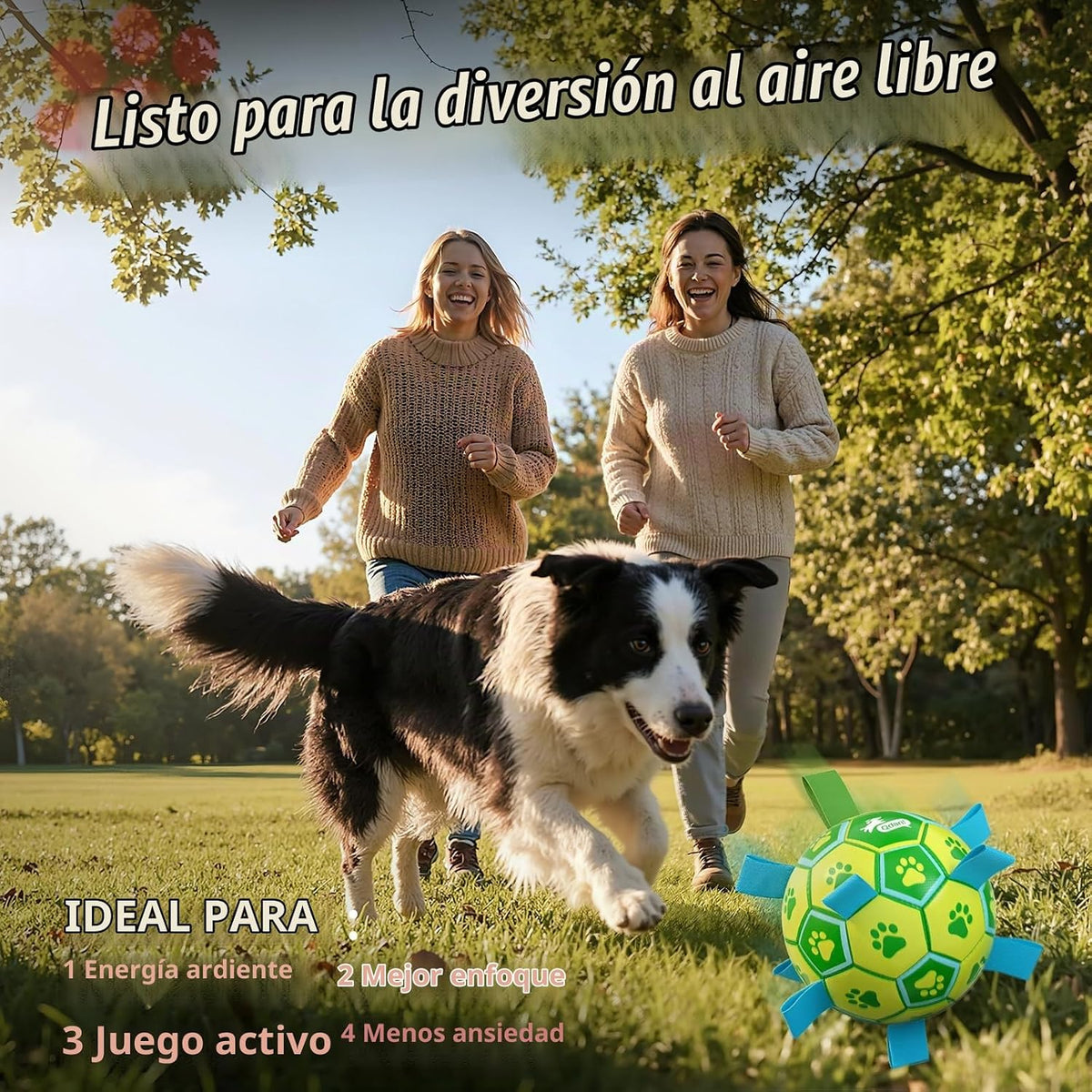 QDAN - Pelota de fútbol para perros, juguete de tirar para perros,...