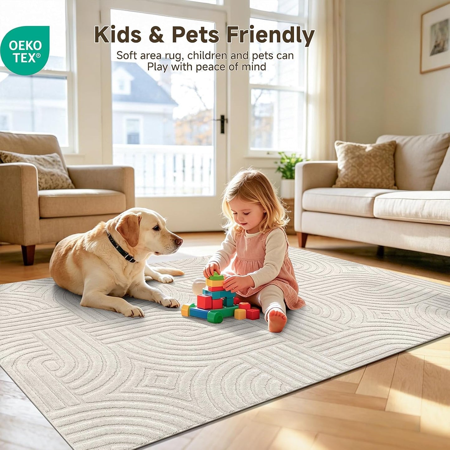 Pauwer Alfombras lavables para sala de estar, de 2 x 3 pies, modern...