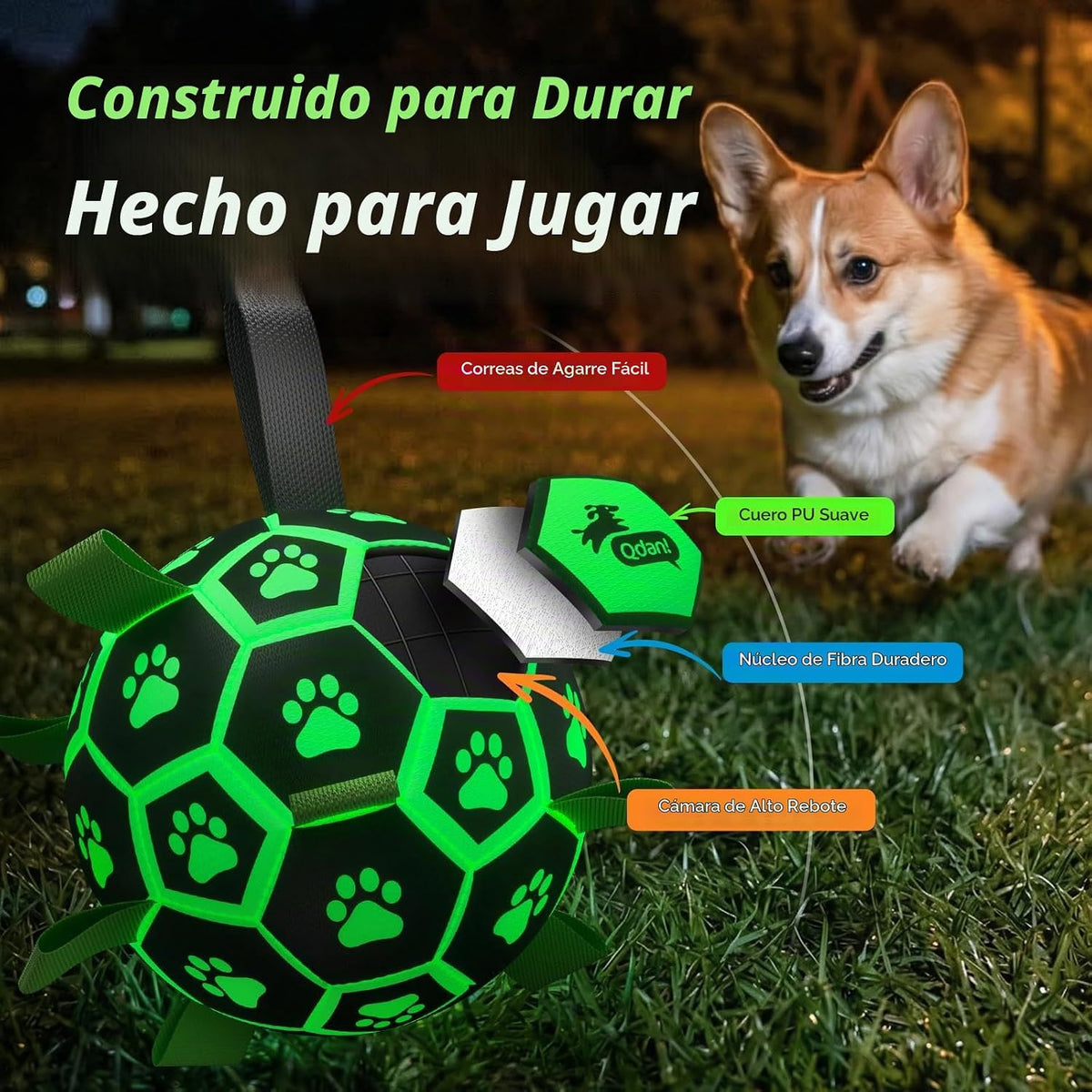 QDAN Pelota de fútbol para perros que brilla en la oscuridad con co...