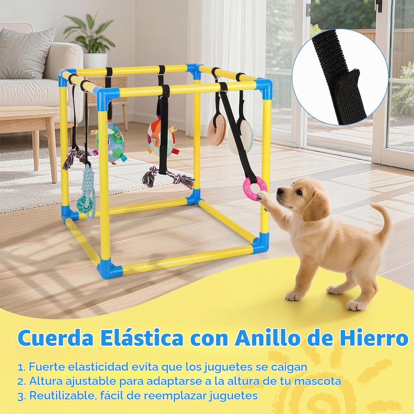 Liitrton Gimnasio de juego para cachorros \u2013 Gimnasio de juego...