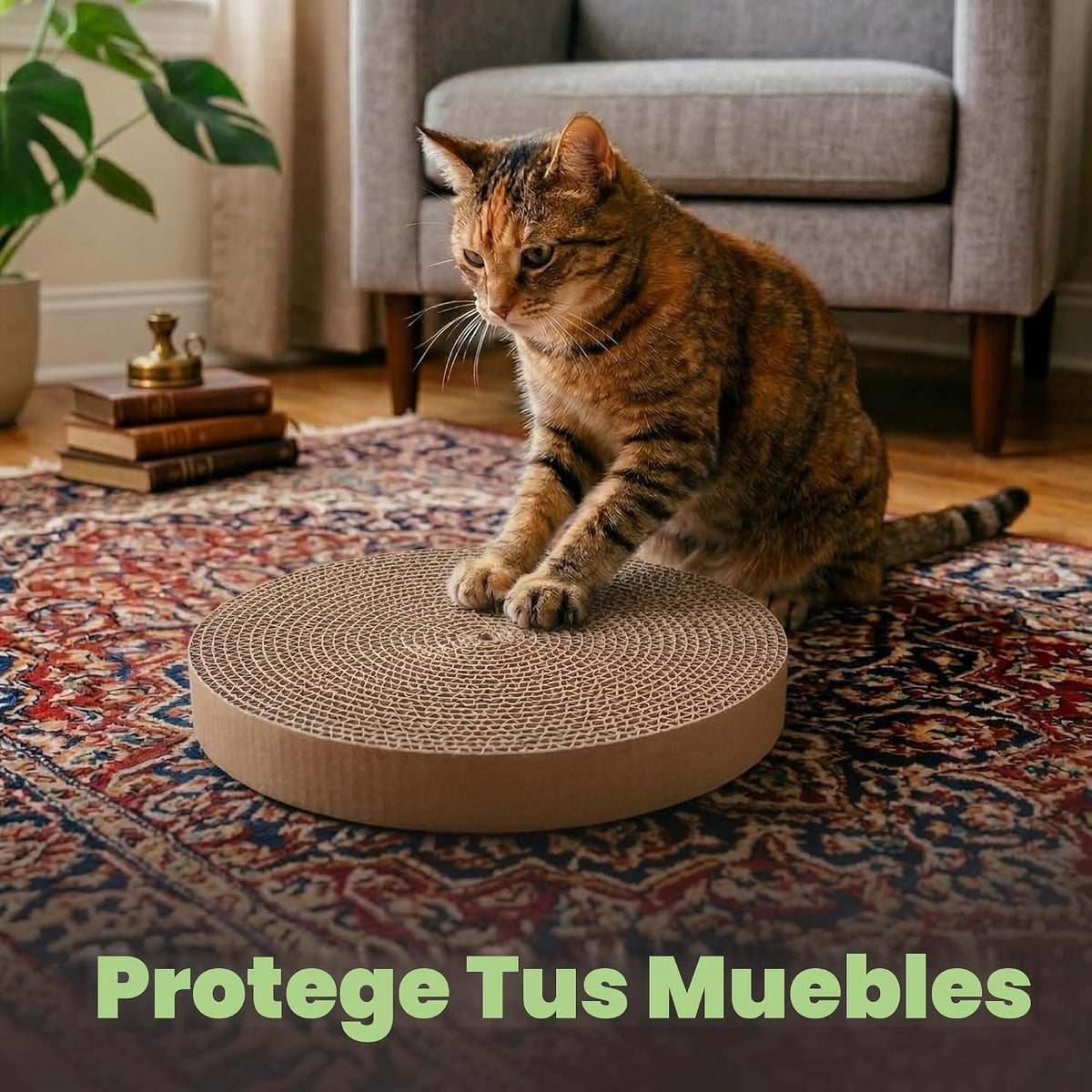 Best Pet Supplies Catify Rascador para Gatos, Rascadores Interactiv...