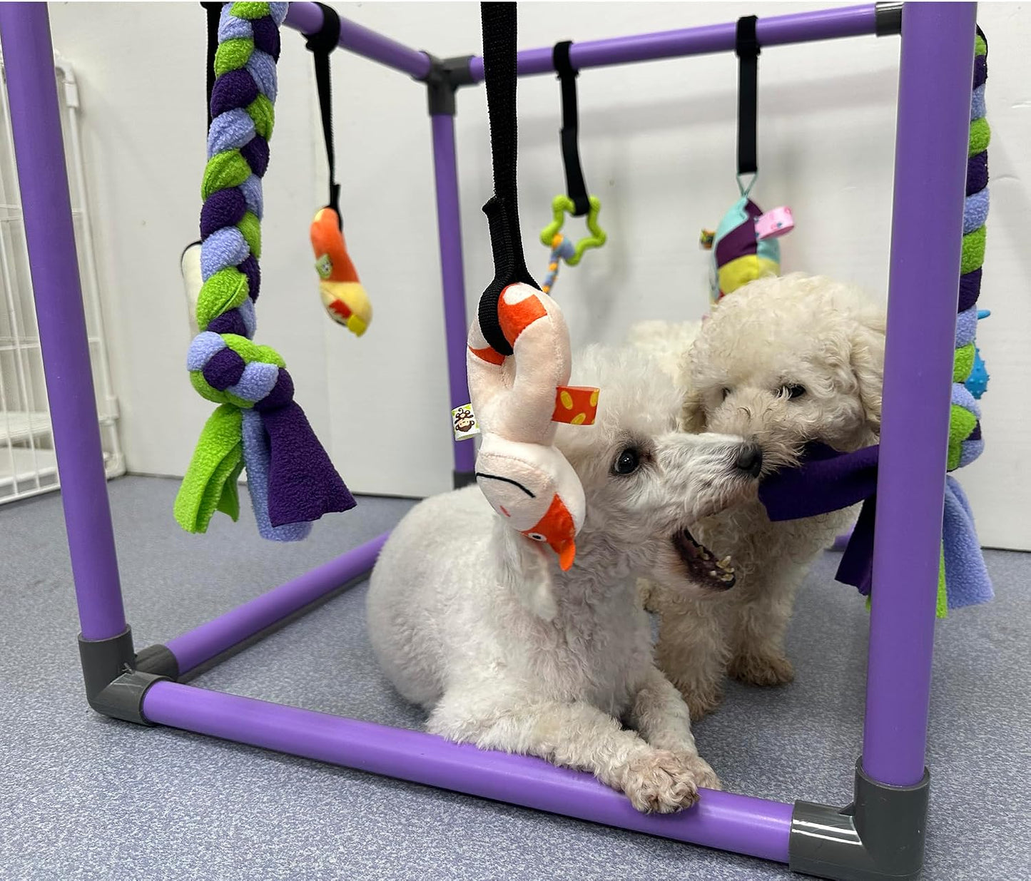 DOZZOPET Gimnasio de Juego para Cachorros para Perros Pequeños con...