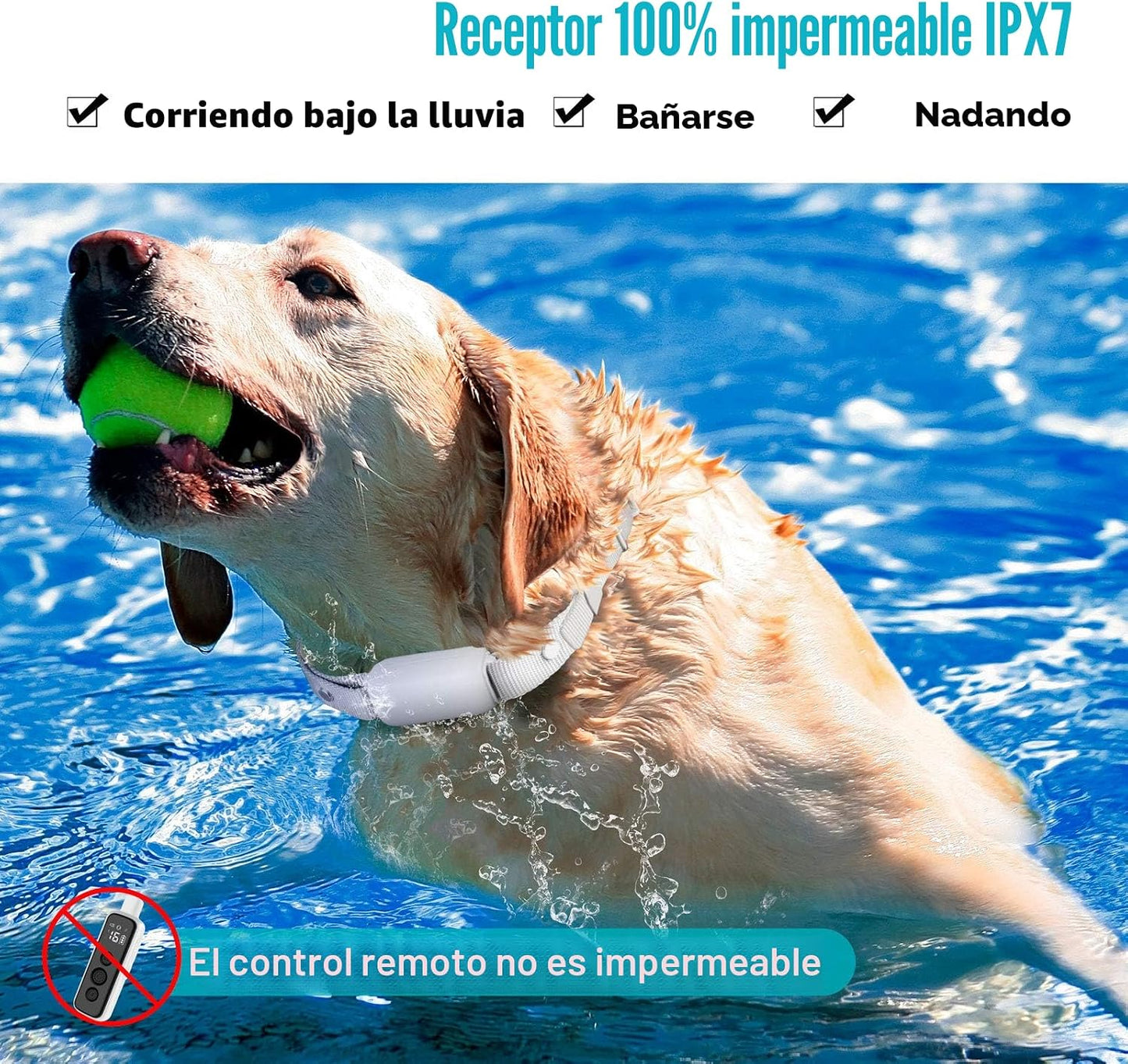 Bousnic Collar de choque para perros 2 perros, (8-120 libras), coll...