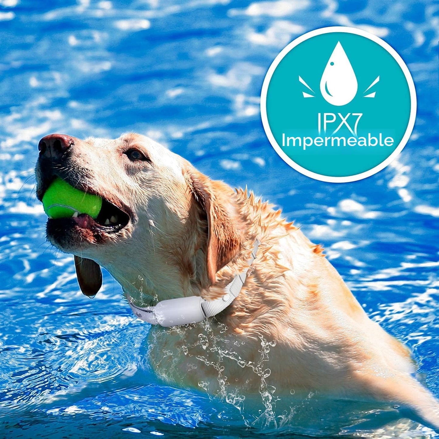 Bousnic Collar de Descarga para Perros \u2013 Collar de Entrenamien...