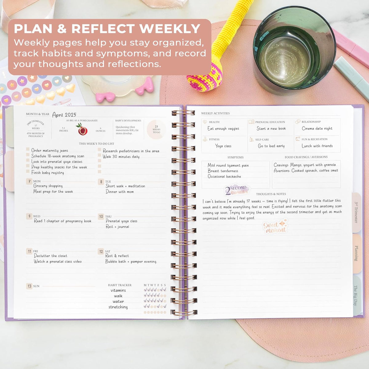Skyline Agenda de embarazo \u2013 Libro de registro de embarazo y r...