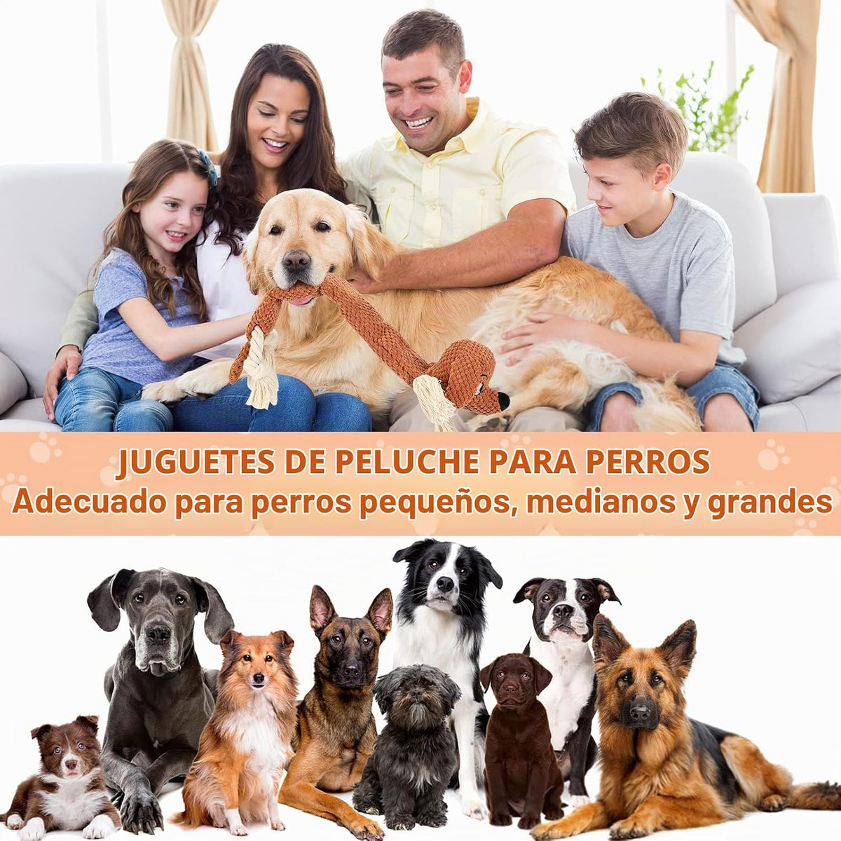 Letsmeet Juguetes para perros, juguete chirriante para masticar con...