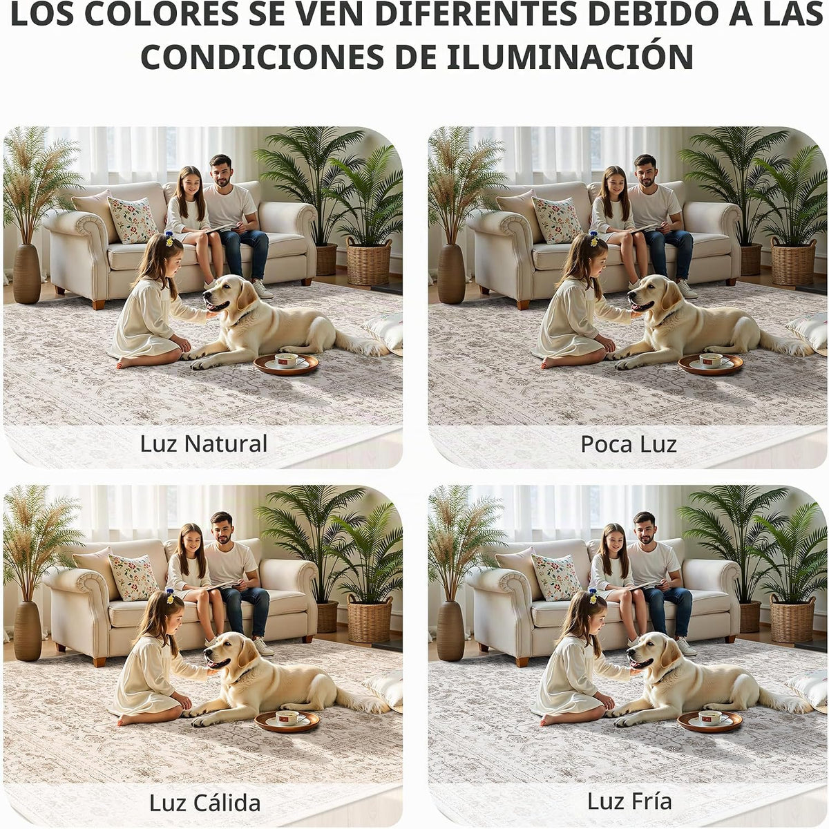 Yarooge Alfombras de área de 8 x 10 pies para sala de estar, alfomb...
