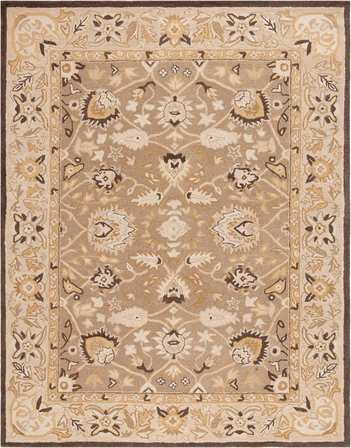 SAFAVIEH Anatolia Collection - Alfombra de área de 8 x 10 pies, sal...