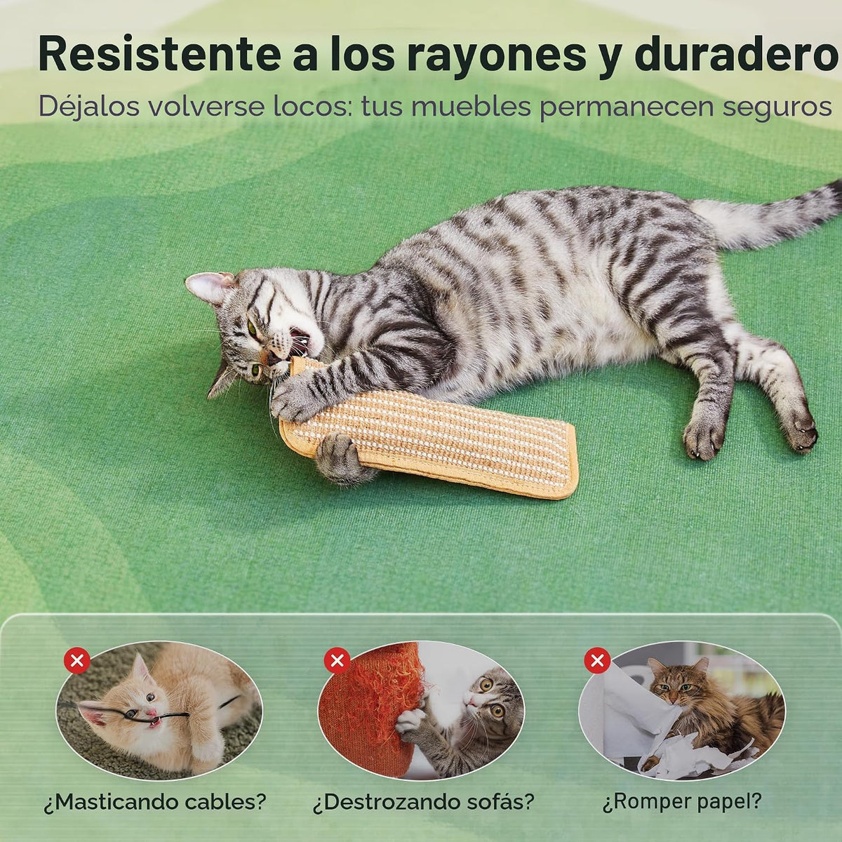 Potaroma Juguetes para gatos, paquete de 2 con 6000 mg A+ de hierba...