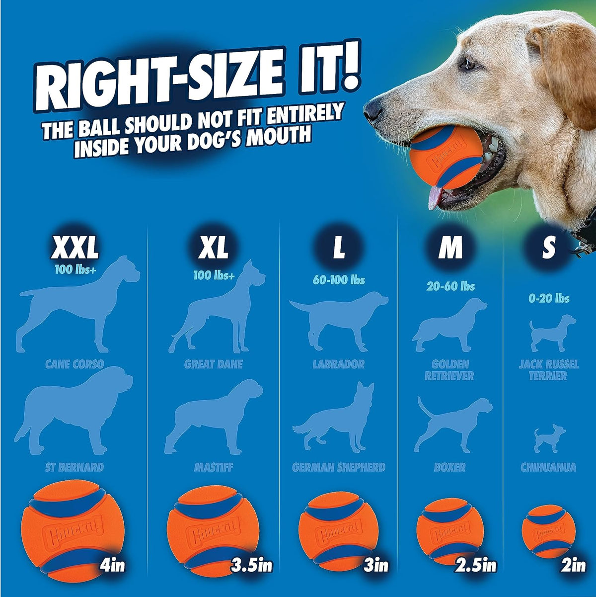 ¡Tíralo! Pro lanzadores, Surtido, 18m, Variados | Tamaño para perro...