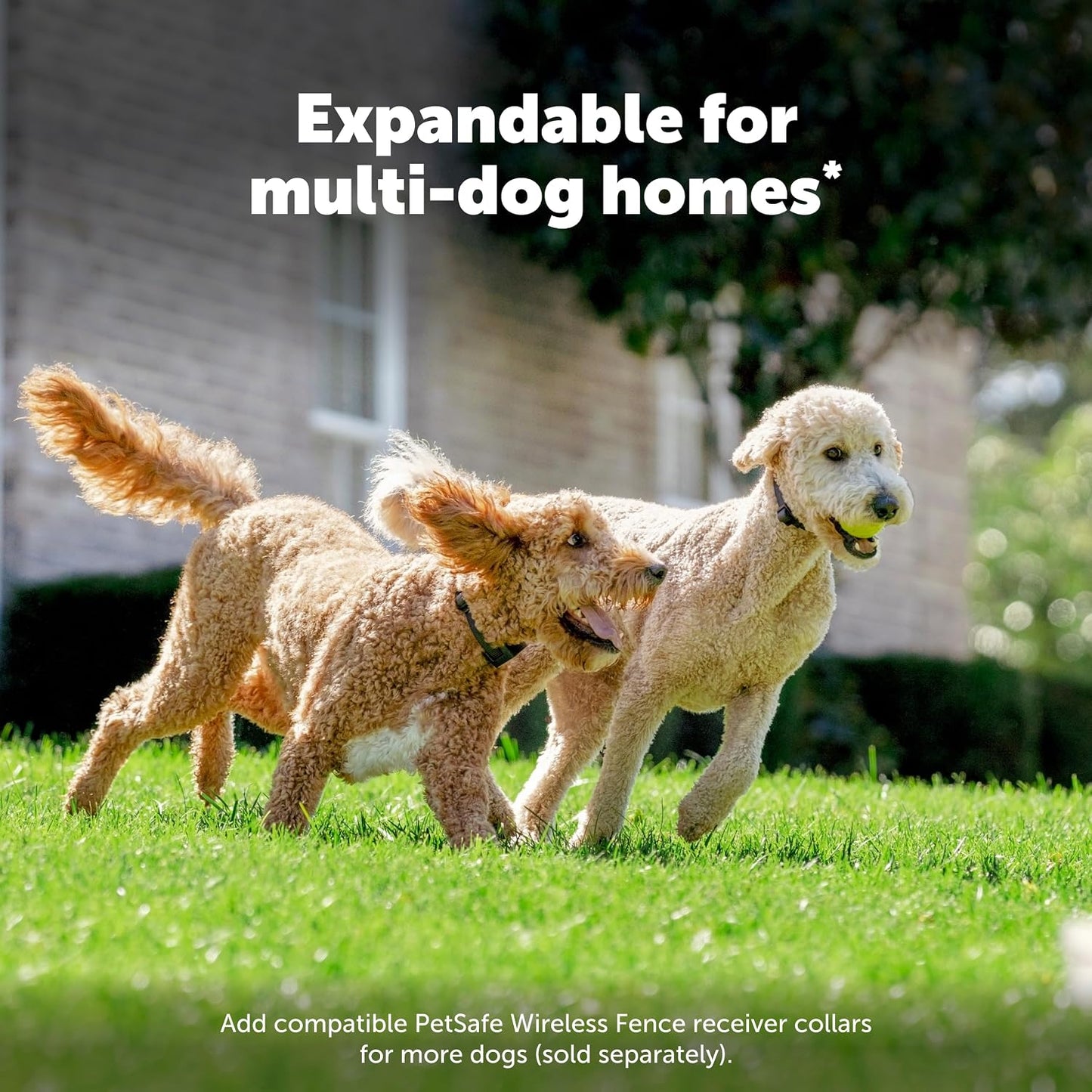 PetSafe Stay + Play Valla inalámbrica, cubre hasta 3\/4 de acre, pa...