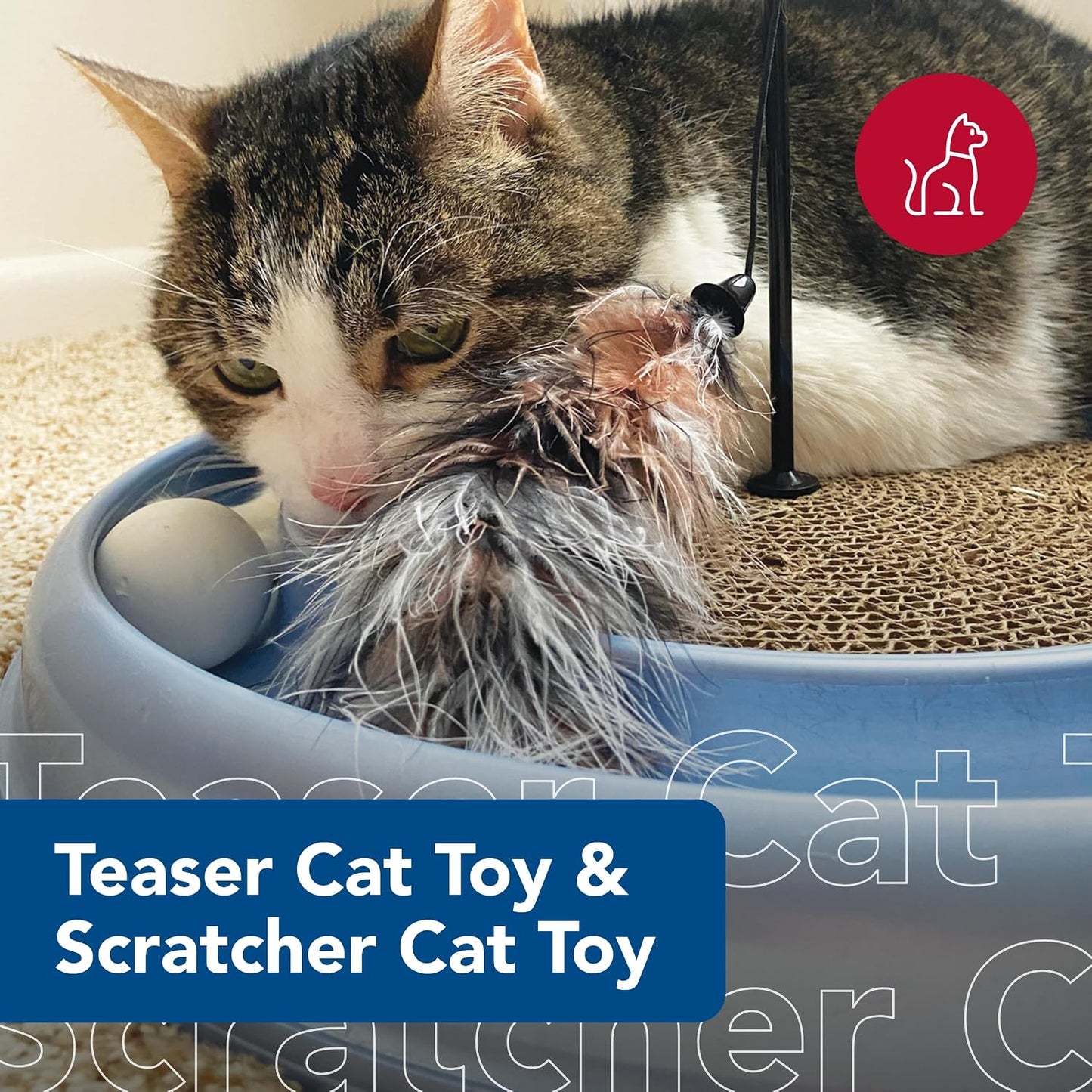 Coastal Pet - Paquete Turbo Pet Cat - Juguete para gatos Teaser y j...