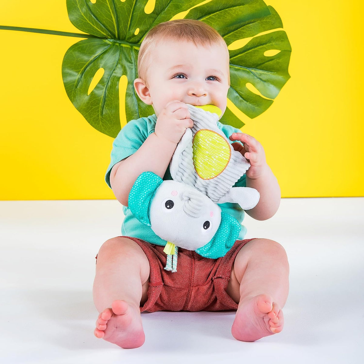 Bright Starts Snuggle &amp; Teethe - Juguete de peluche para dentic...