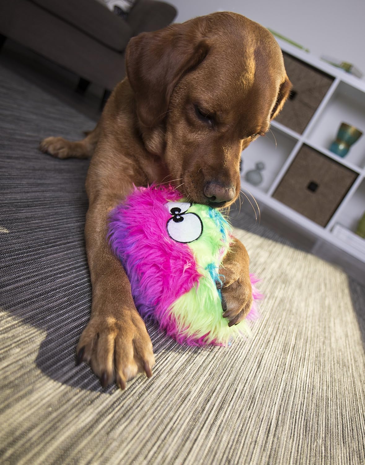 goDog Furballz - Bola de peluche chirriante para perro, tecnología...
