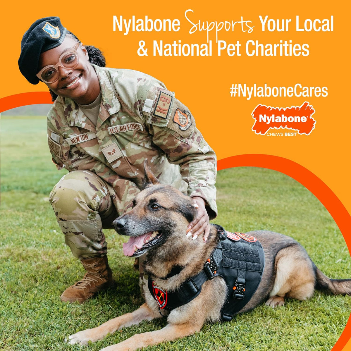 Nylabone Power Chew - Juguete ergonómico para masticar y sujetar y...