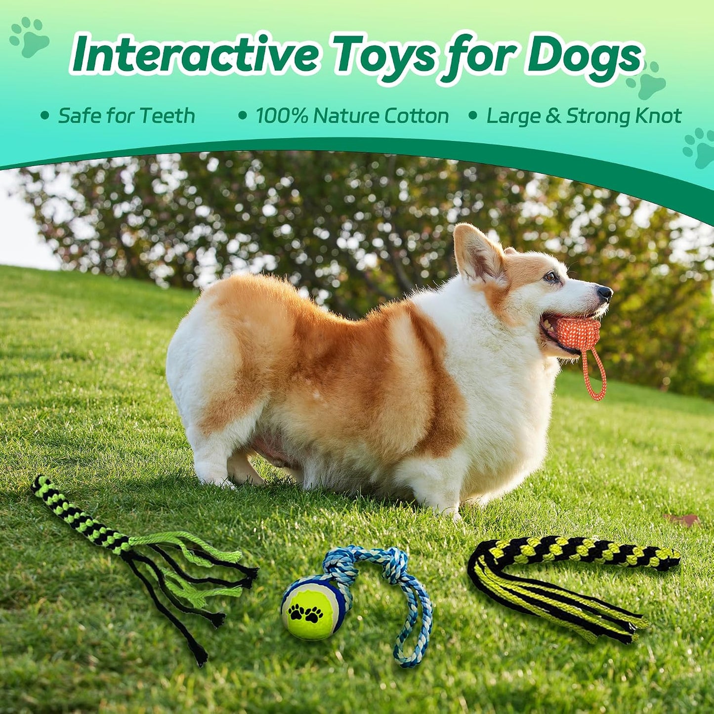 AmaCielo Poste de Flirteo para Perros, Juguetes Interactivos de Tir...
