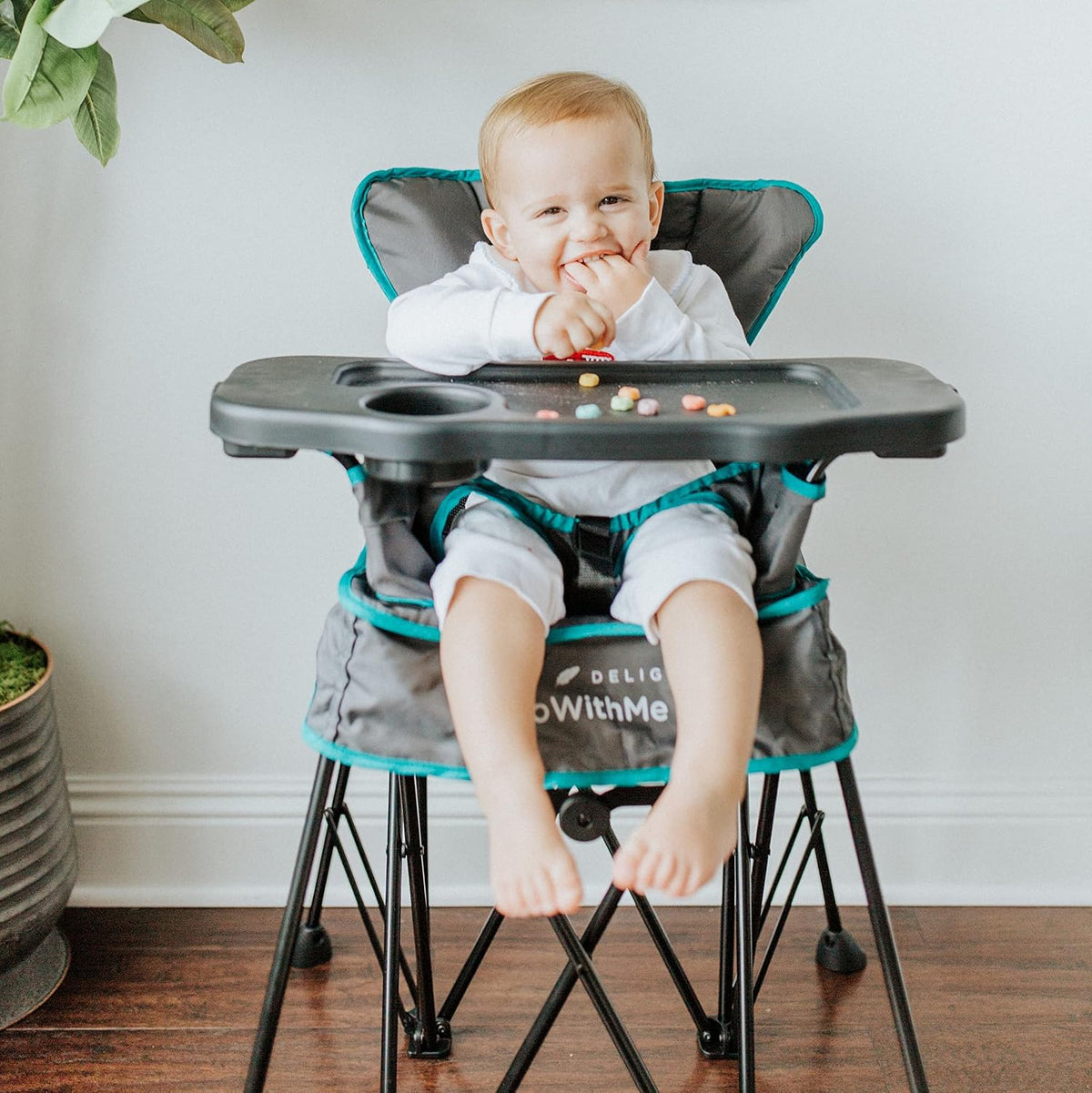 Baby Delight Go with Me Uplift Silla alta portátil de lujo, para in...