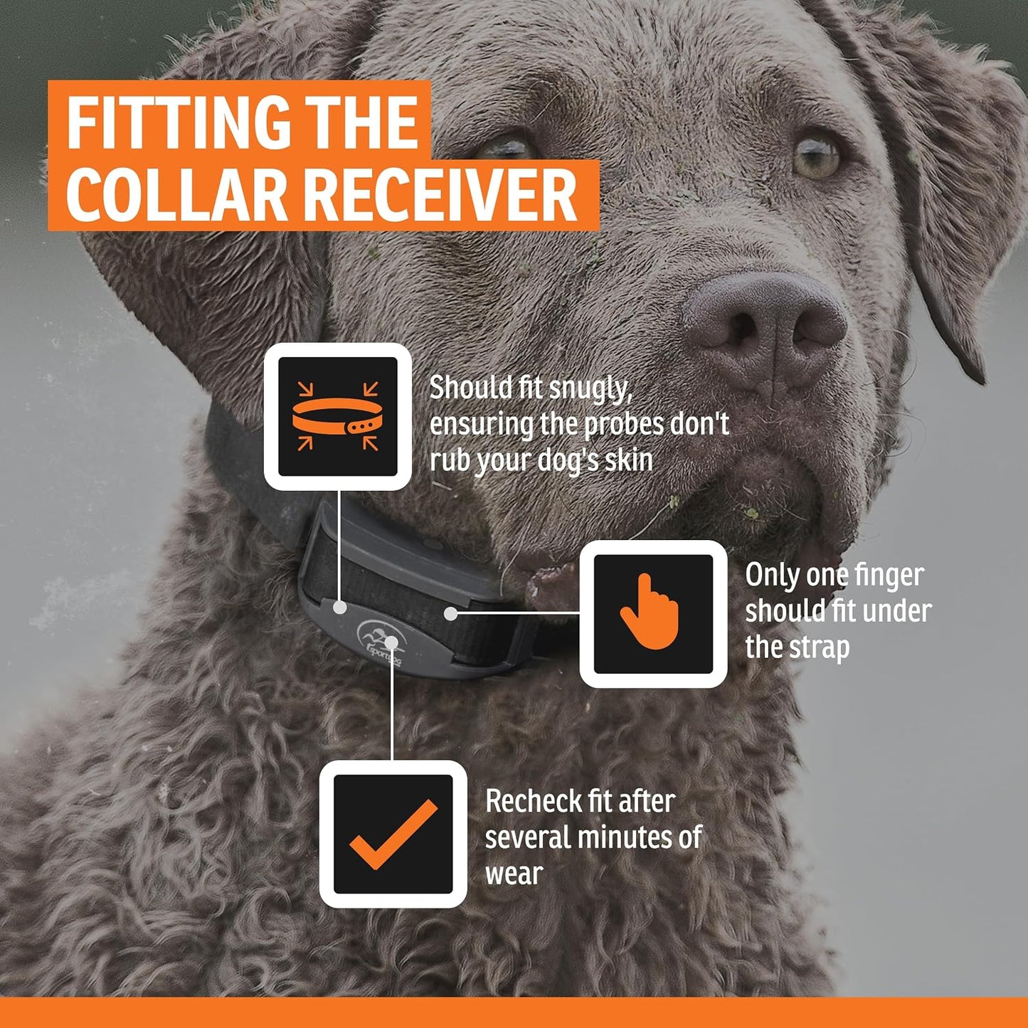 SportDOG NoBark SBC-R - Collar impermeable, ligero y programable de...