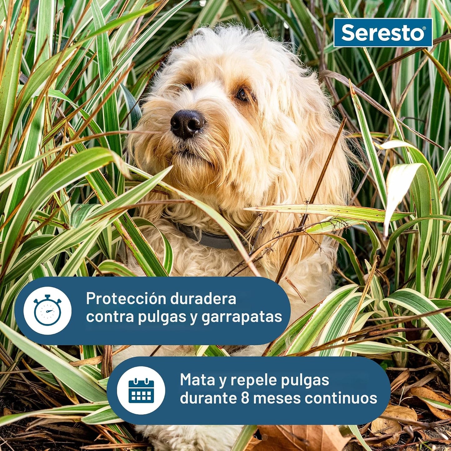 Seresto Collar de Tratamiento y Prevención de Pulgas y Garrapatas R...
