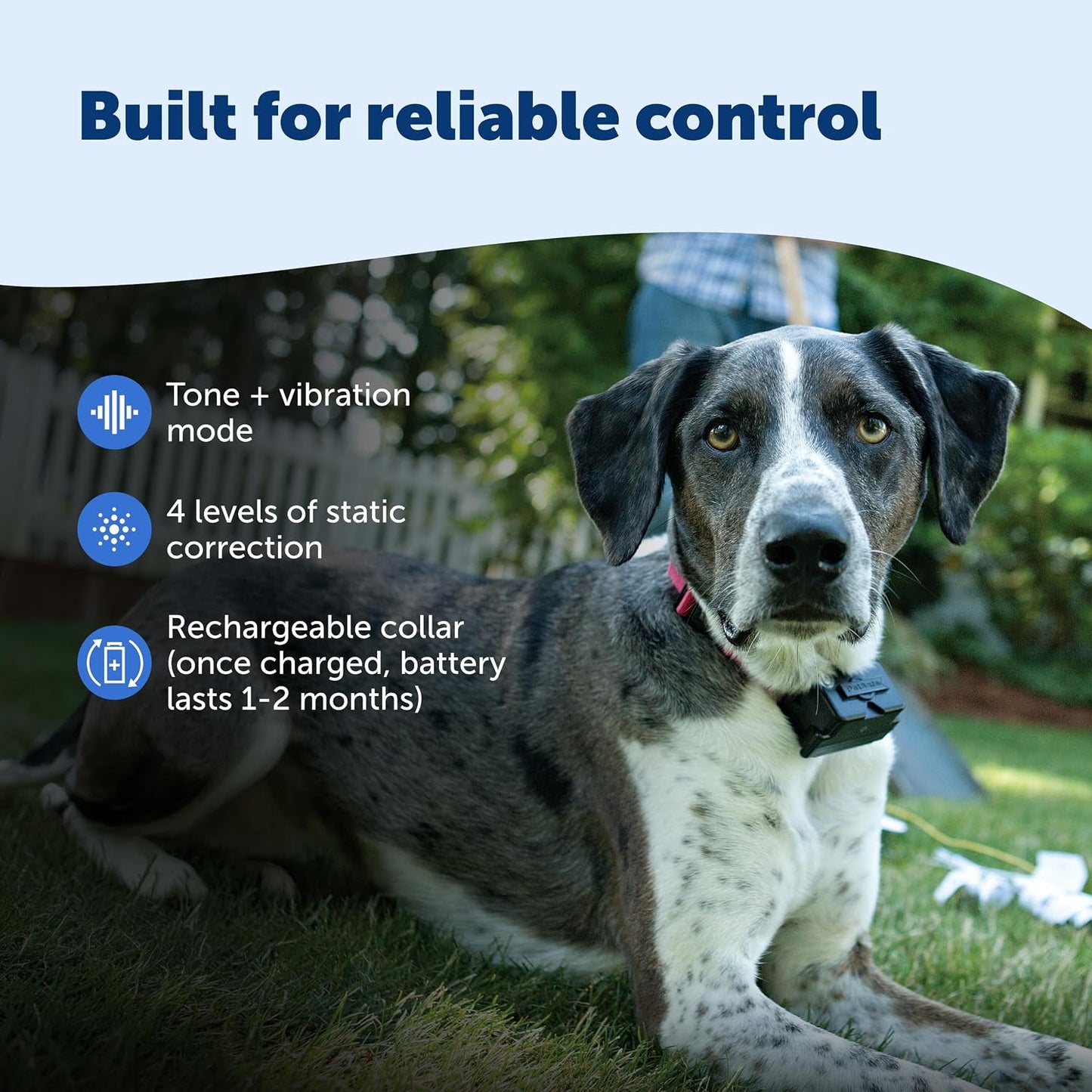 PetSafe Valla de perro obstinado con batería extra para mascotas pe...