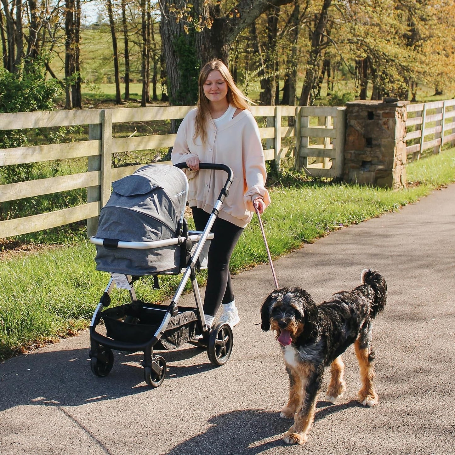 Mompush Meteor2 - Cochecito de bebé 2 en 1 con modo recién nacido,...