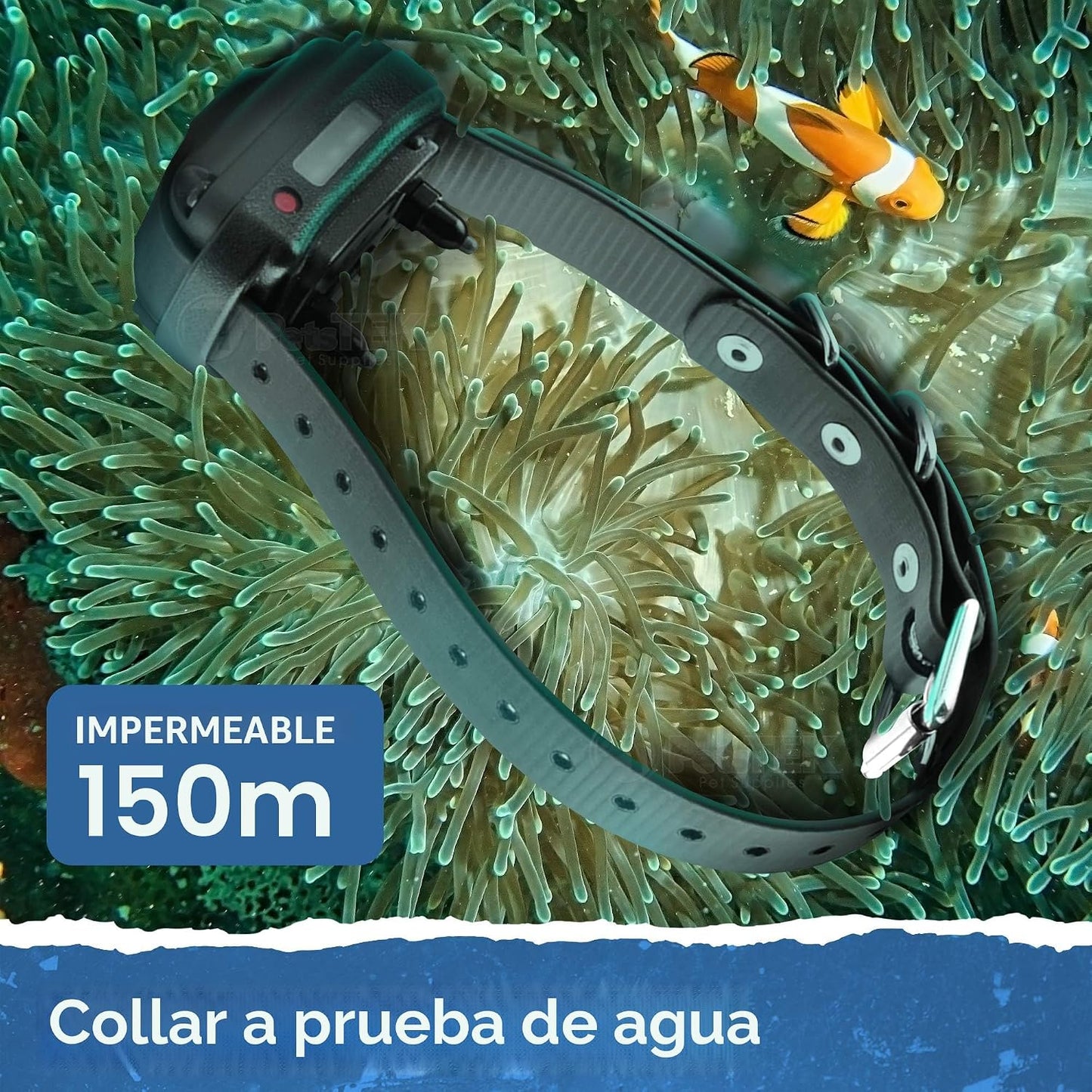 Educator ET-300 Mini Collar E para entrenamiento de perros con cont...