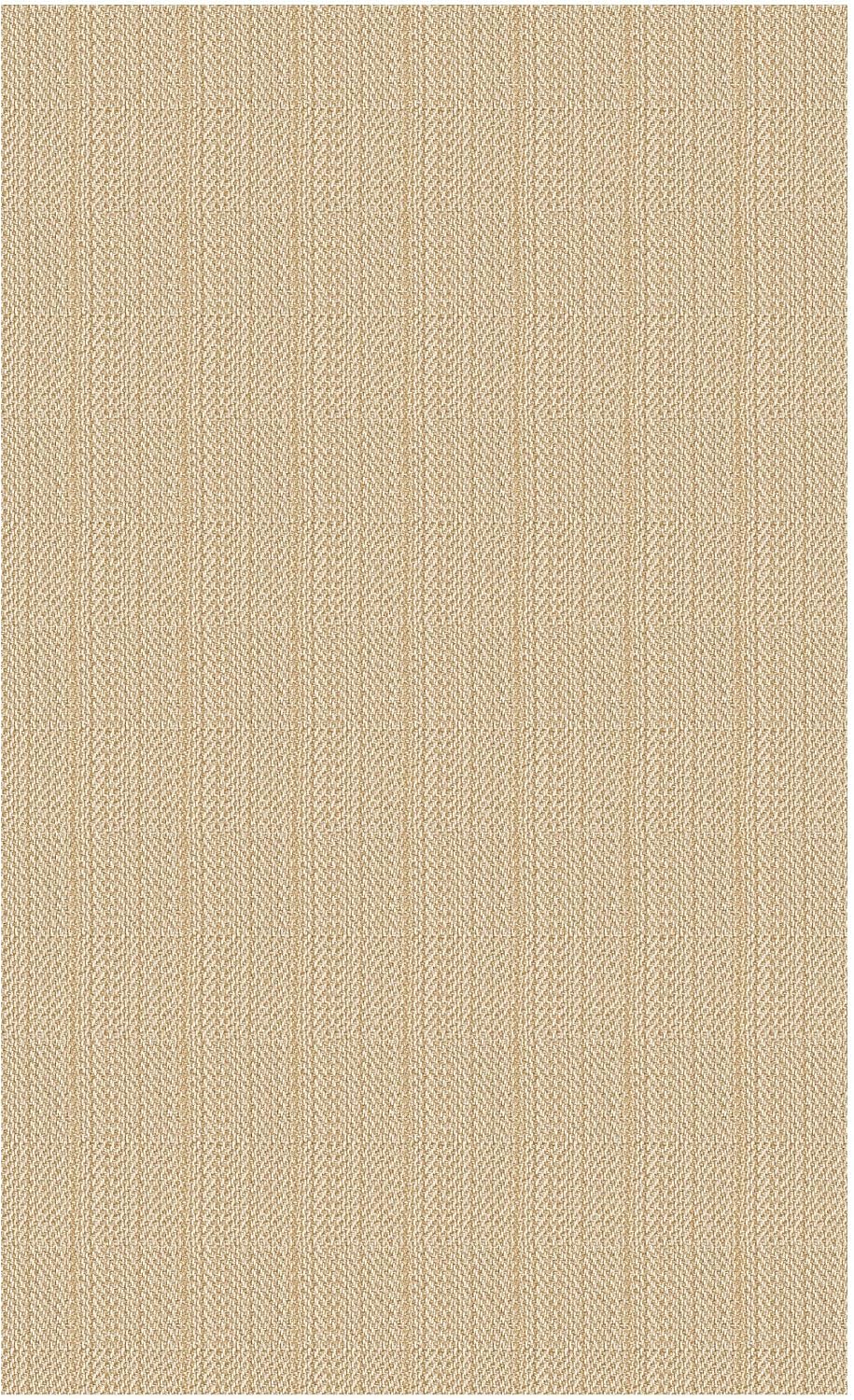 IOHOUZE Alfombra lavable de 5 x 7 pies, antideslizante, con respald...