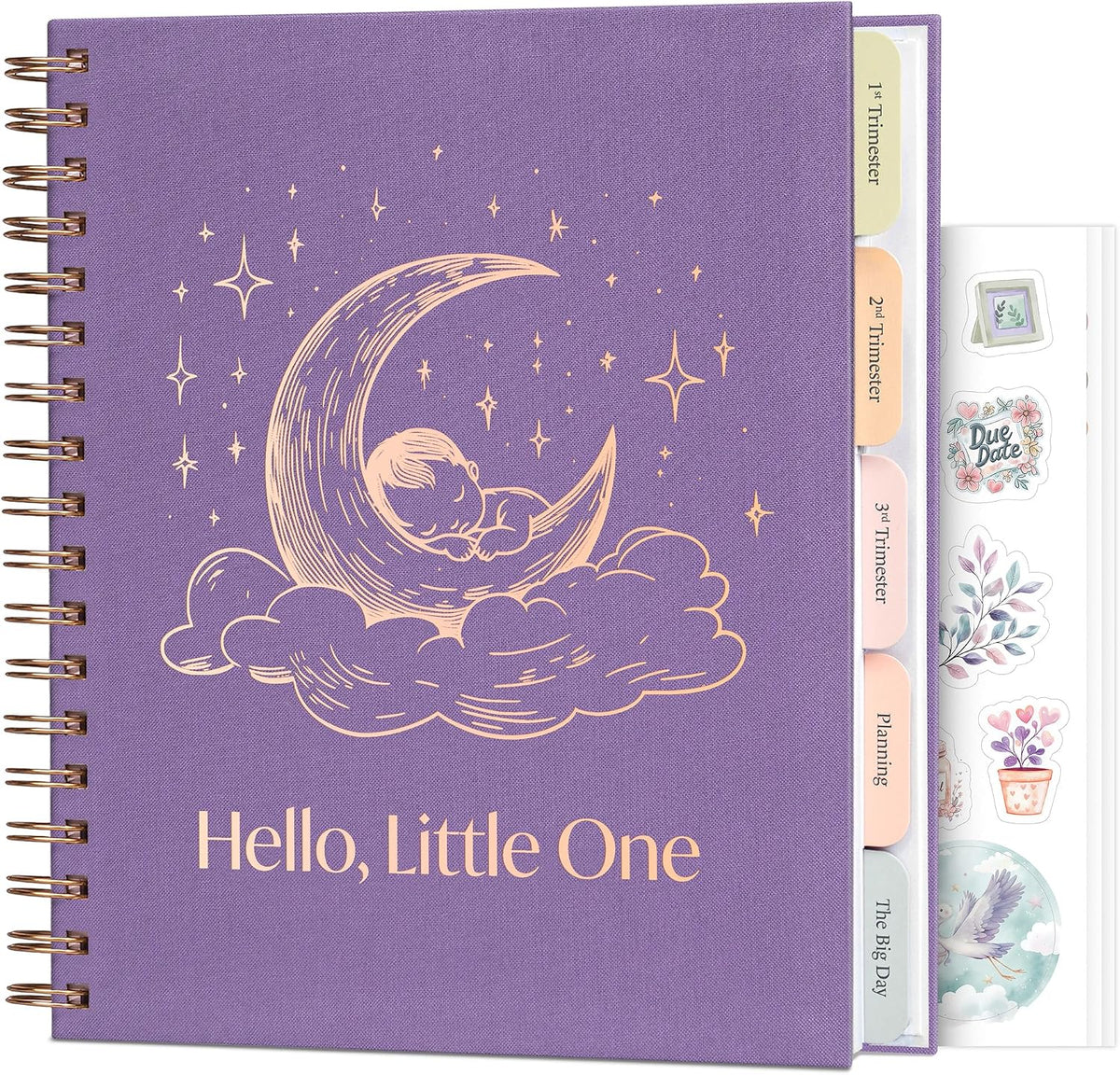 Skyline Agenda de embarazo \u2013 Libro de registro de embarazo y r...