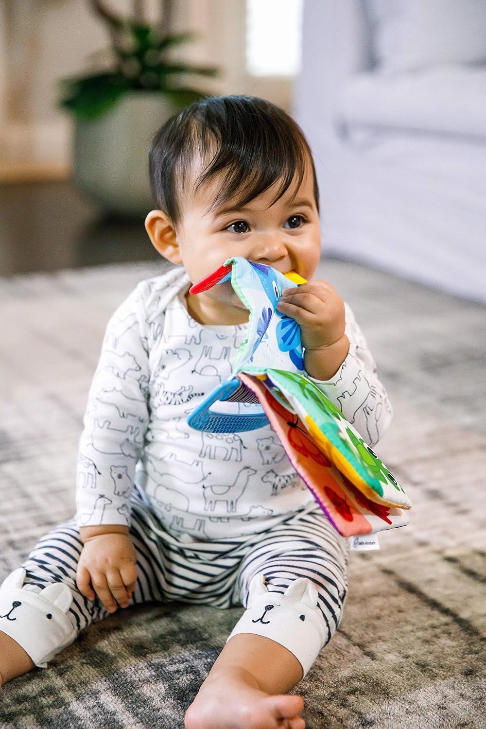 Baby Einstein Curious Explorers - Libro mordedor, juguete para llev...