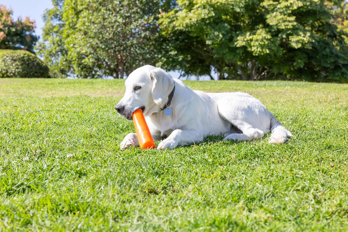 Chuckit! Super Crunch Fetch Stick - Juguete para perros \u2013 Mate...