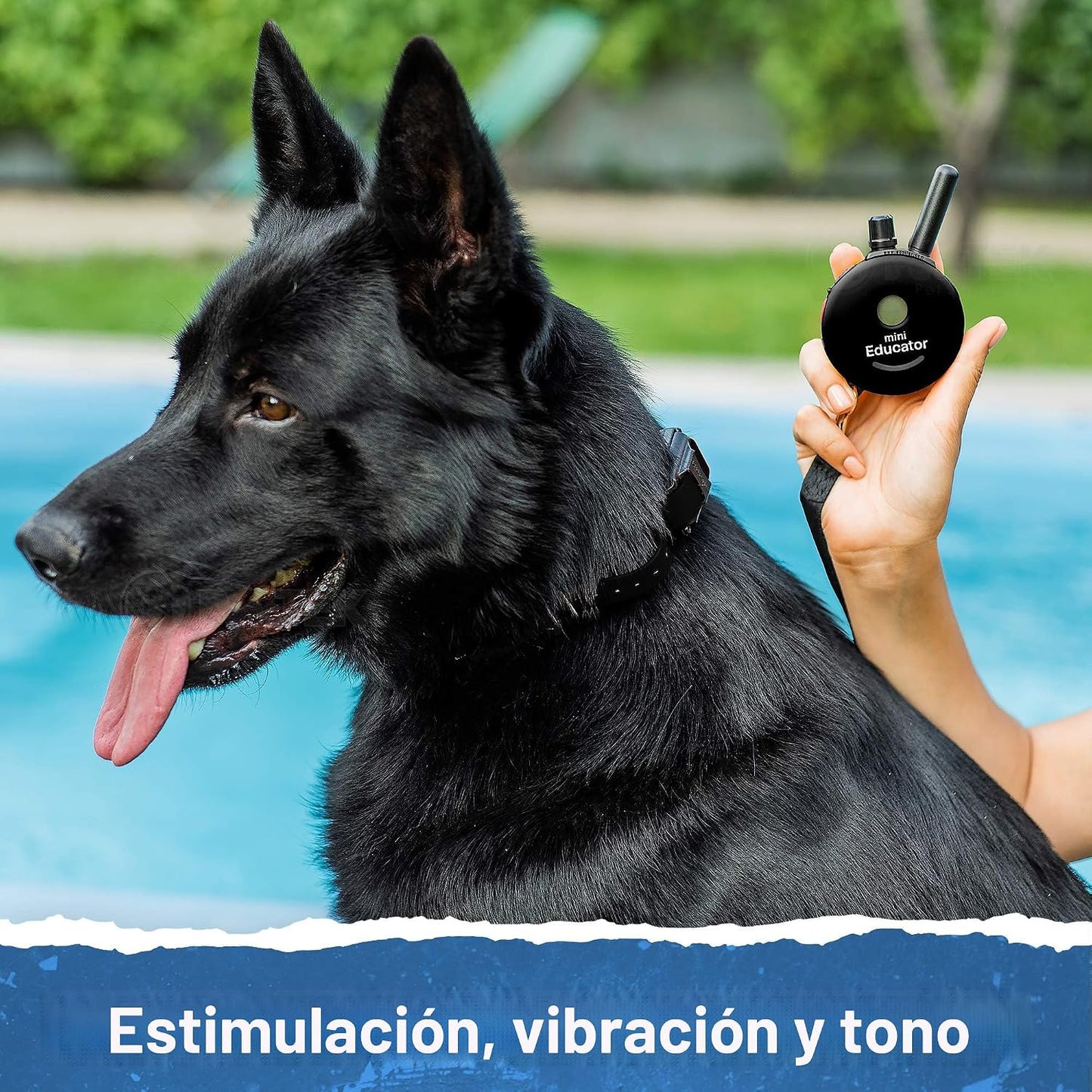 Educator ET-300 Mini Collar E negro para adiestramiento de perros c...