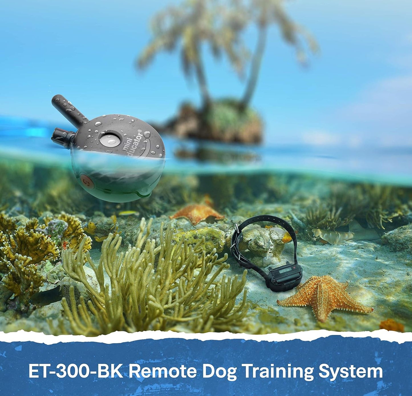 Educator ET-300 Mini Collar E negro para adiestramiento de perros c...