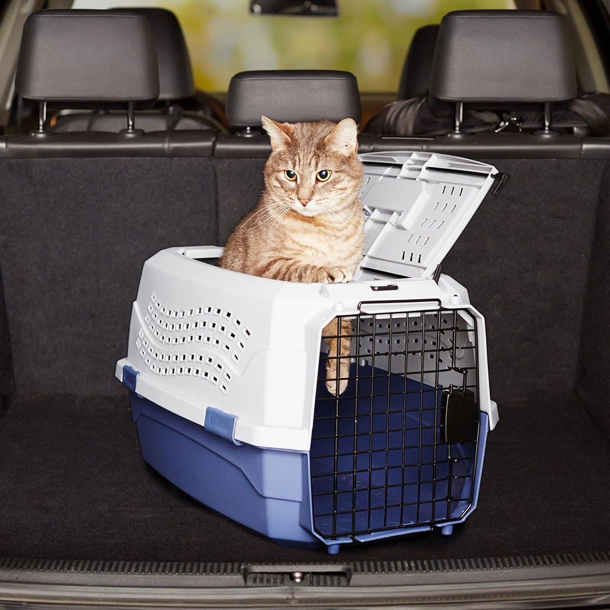 Amazon Basics Transportador de viaje duro para perros, gatos y masc...