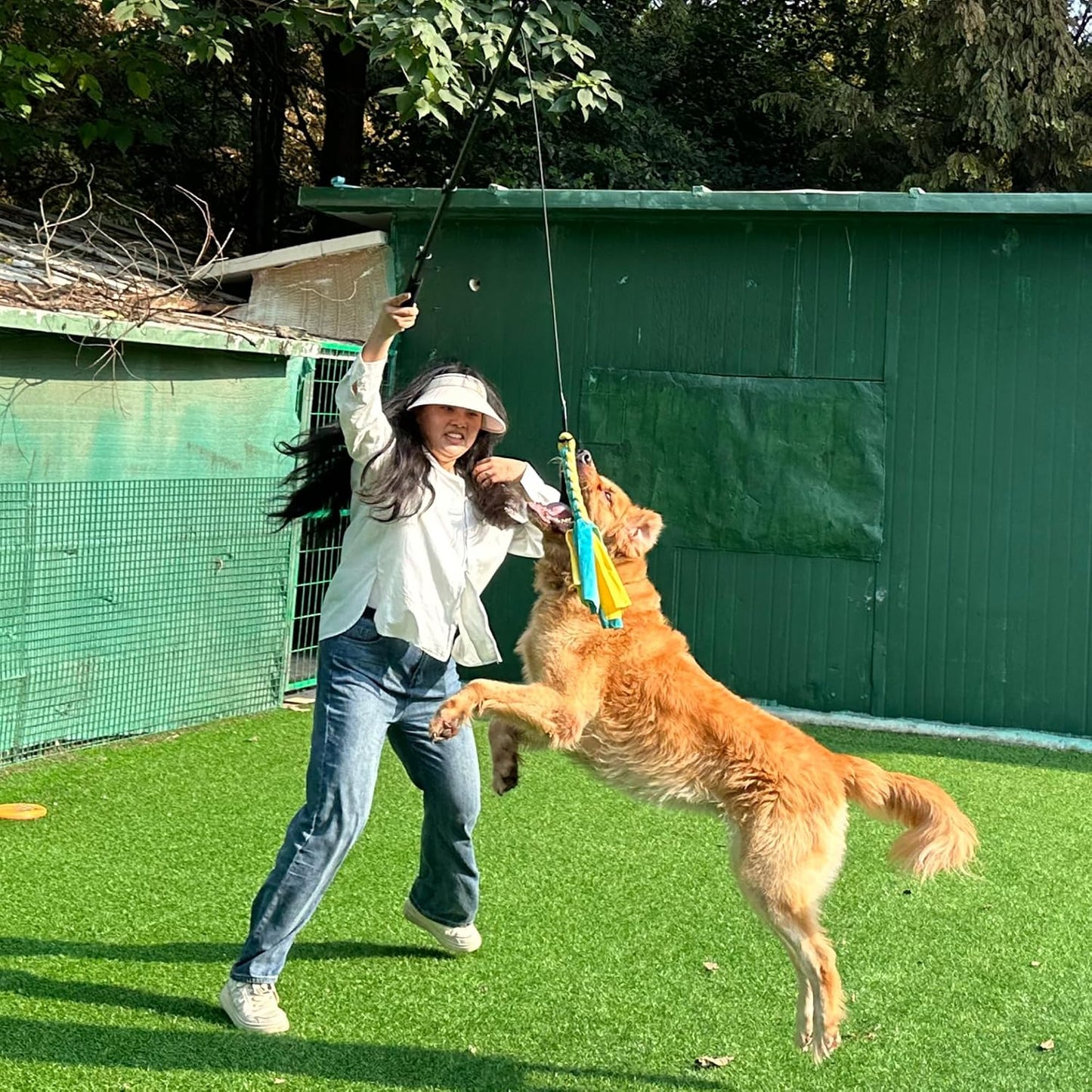 AmaCielo Palo de Flirt para Perros, Juguetes Interactivos de Tira y...