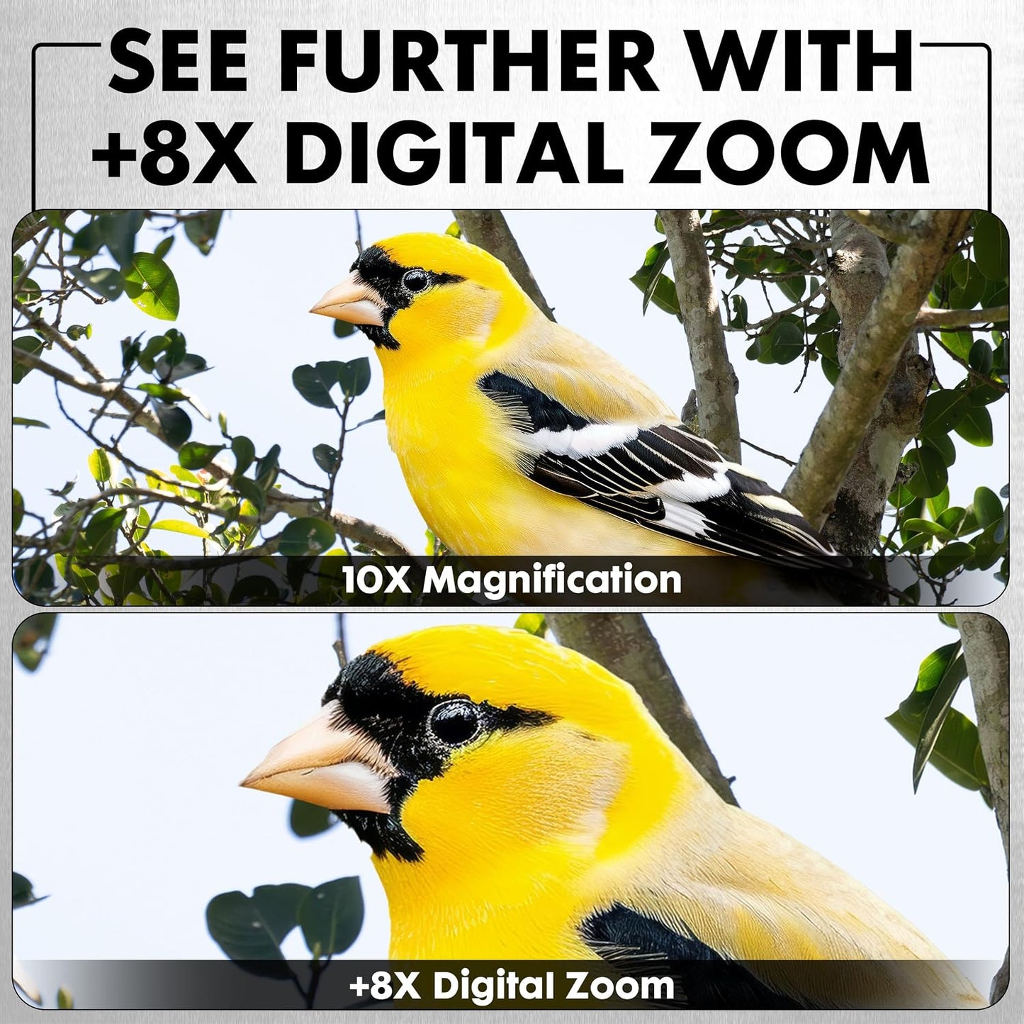 Minolta MNDM10B 4K Video 10x25 Kit monocular digital de visión noct...