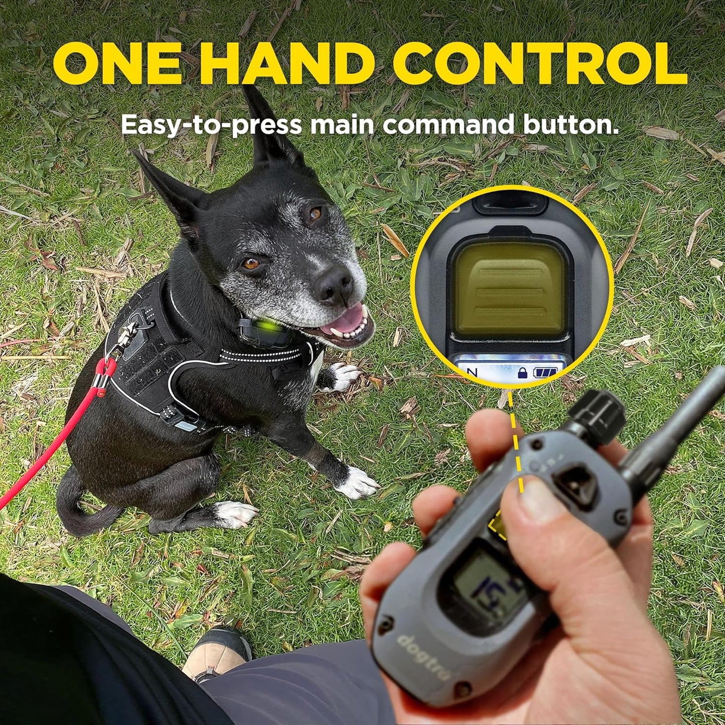 Dogtra 280X Collar E para 2 Perros con Control Remoto [Nueva Edició...