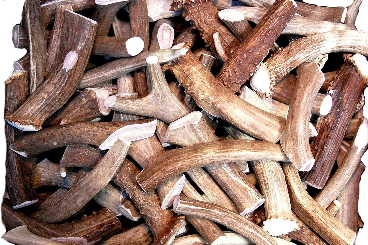 PREMIUM piezas de asta de ciervo \u2013 Cuernos dentales para perro...