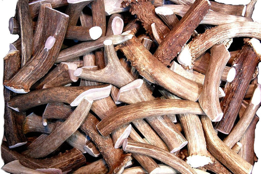 PREMIUM piezas de asta de ciervo \u2013 Cuernos dentales para perro...