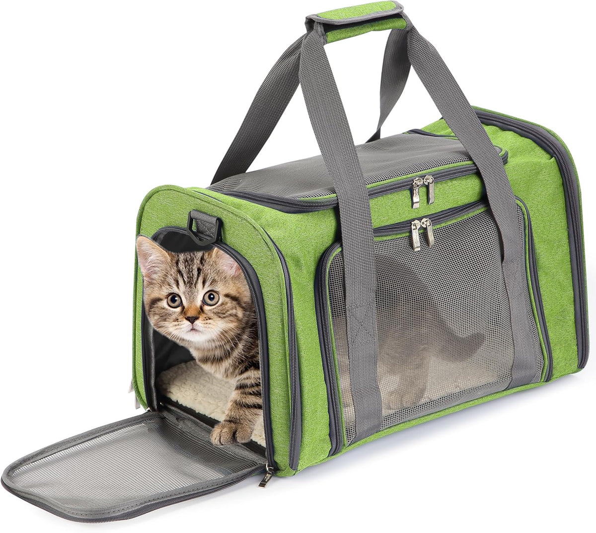 Mr. Pen- Transportador para mascotas, 17.5 x 11.2 x 11.5 pulgadas,...