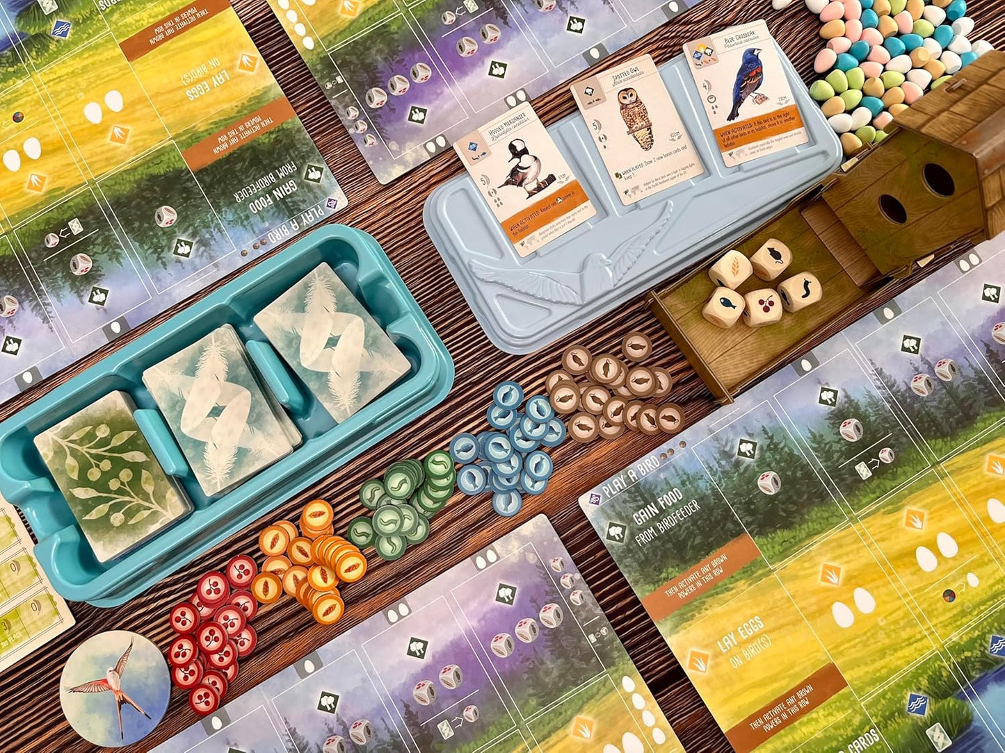 Stonemaier Games: Wingspan (Juego Base) de Elizabeth Hargrave | Un...