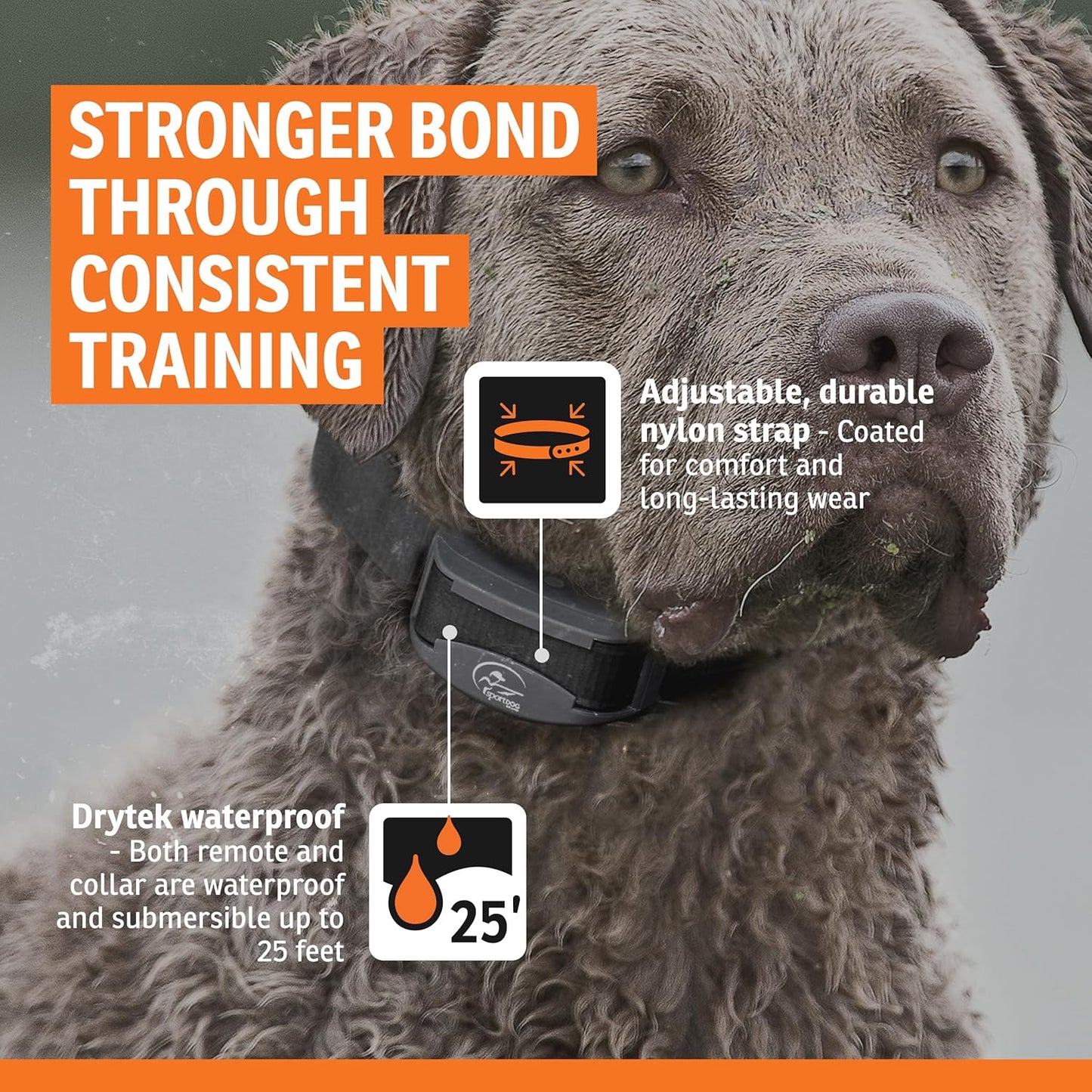SportDOG FieldTrainer 425XS - Entrenador remoto diseñado para contr...